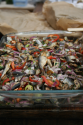 Salata dobrogeana de sprot, Zile dobrogene, Targul Taranului Roman